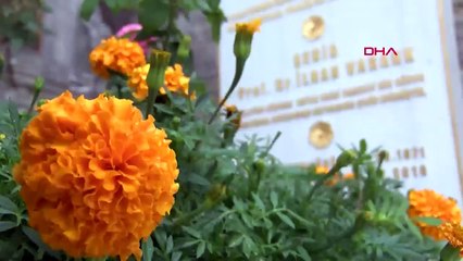 Son Dakika Haberi: Bakan Varank şehit ağabeyini anlattı | Video