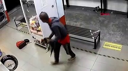 Malezya'da 3 kediyi çamaşır makinesine atarak öldüren kişi kamerada