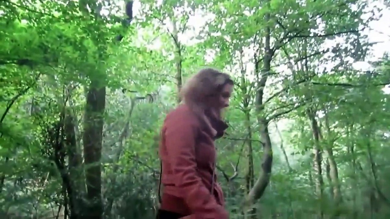 forest adventures   sachie abroad