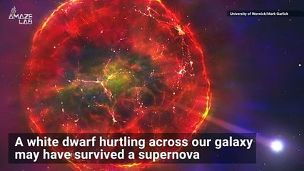 Star Hurtling Across the Milky Way May Have Survived a Supernova