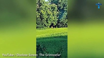 Top 10 Mysterious And Strange Videos You Never Seen Before