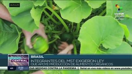 Brasil: movimiento popular exige destitución del pdte. Jair Bolsonaro