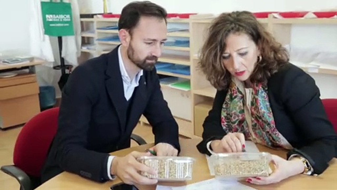 Andalucía aprueba el Programa Activa Internacional para empresas exportadoras