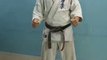 Karate Part - IV, Health care  Gaming, Sports, Good exercise, Body fitness, Calorie remover