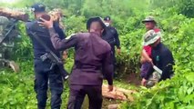 Elephant rescued after gorging on fruit trees then falling into reservoir in Thailand