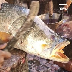 Fisherman hit the jackpot: caught fish worth around 1 crore rupees