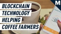 Blockchain technology helps these farmers be more sustainable