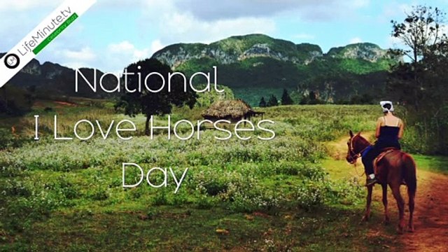 It's National I Love Horses Day