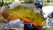 Catching GIANT Peacock Bass and ZOMBIE FISH!!!