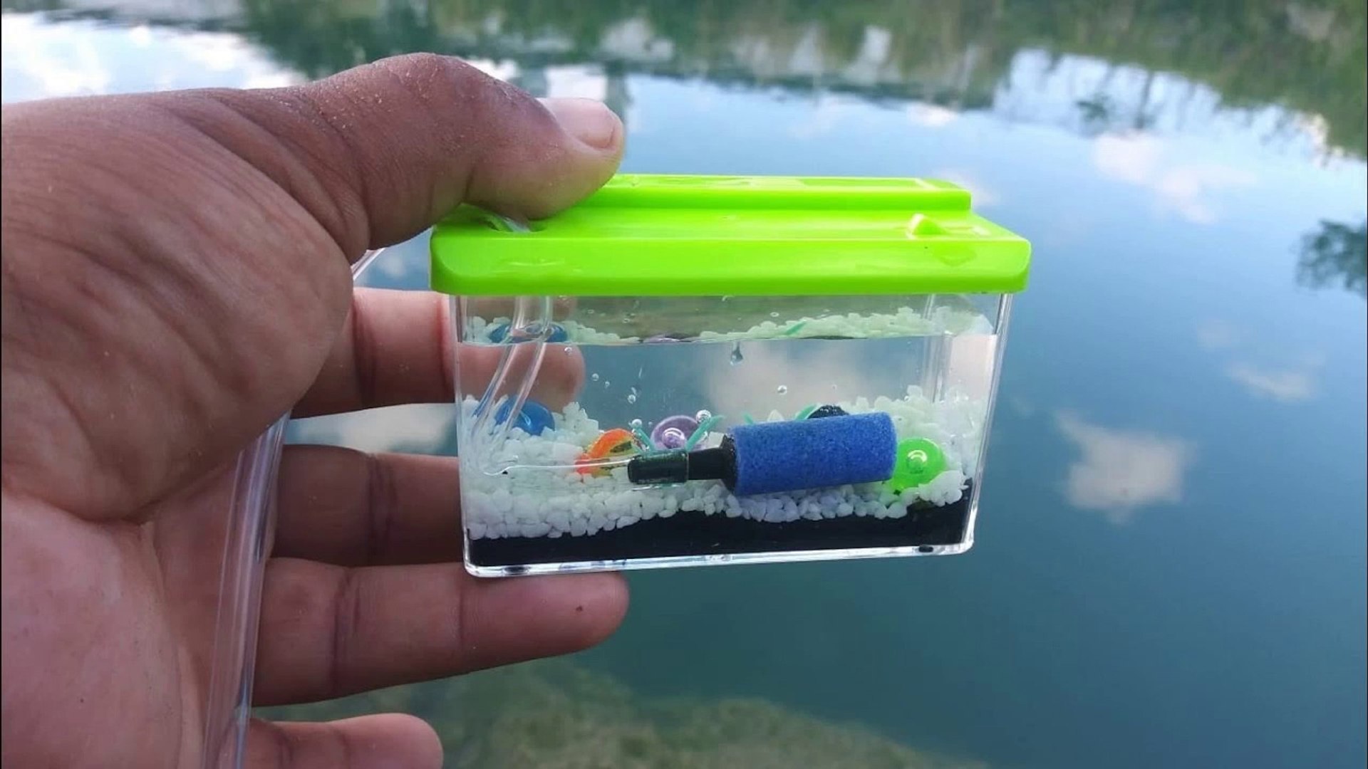 Plastic Bin Fish Trap Catches BIG FISH! DIY