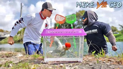 Netting EXOTIC FISH for Aquarium - Fishing Challenge!