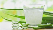 Aloe Vera Juice Side Effects: एलोवेरा साइड इफेक्ट | Aloe vera side effects | Boldsky