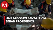 Ordenan proteger restos de mamuts en Santa Lucía