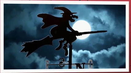 TWOSTRANGE SHAPED WIND VANE