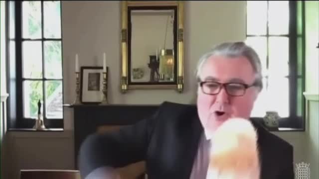 Un gato se cuela en la videollamada de un diputado escocés