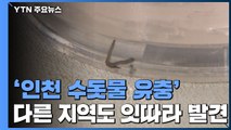 '인천 수돗물 유충' 다른 지역도 잇따라 발견...신고 100건 넘어 / YTN