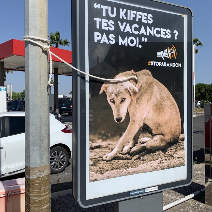 Rémi Gaillard publie une campagne choc pour lutter contre l’abandon des animaux