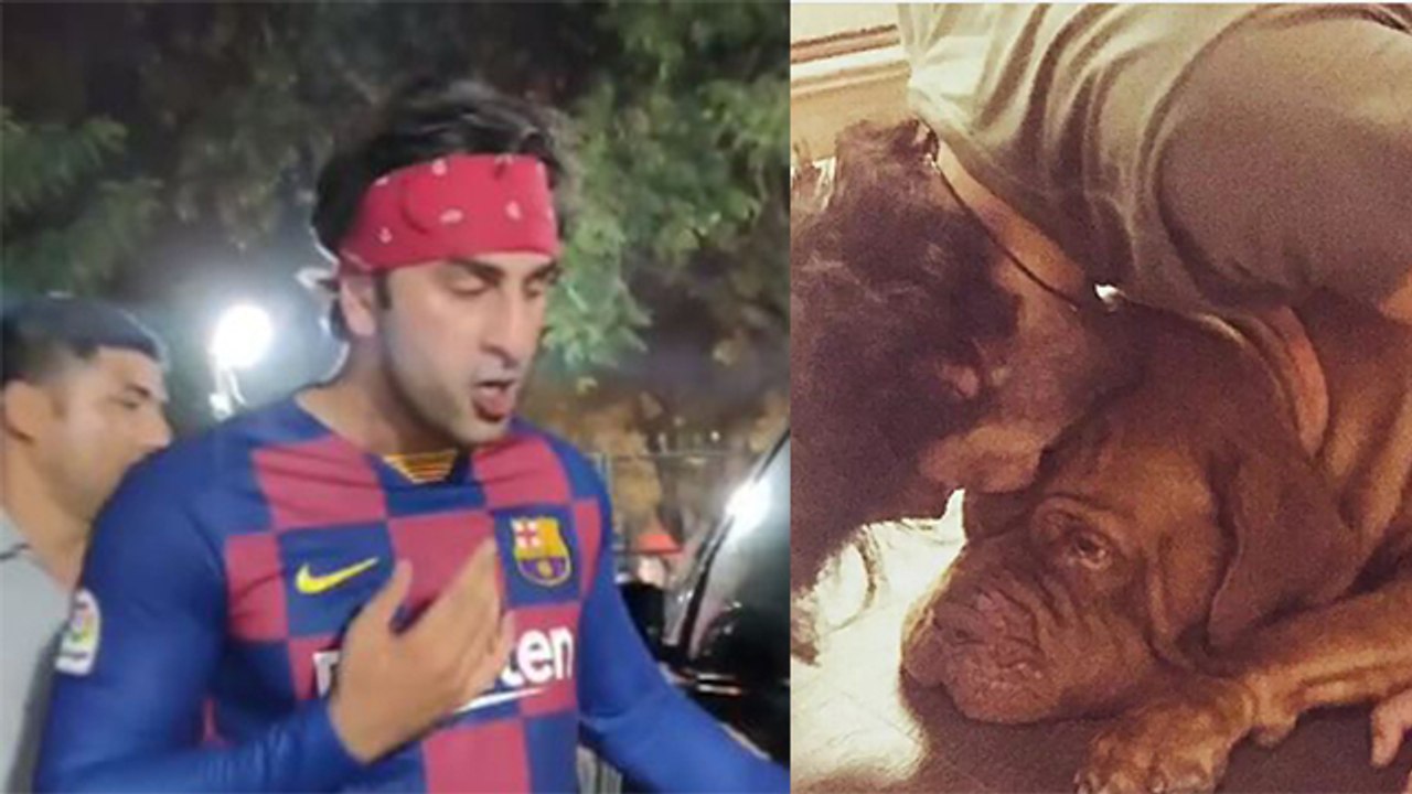 Ranbir Kapoor Bitten By His Dog: रणबीर कपूर के कुत्ते ने किया उनपर अटैक! जाना पड़ा अस्पताल । Boldsky