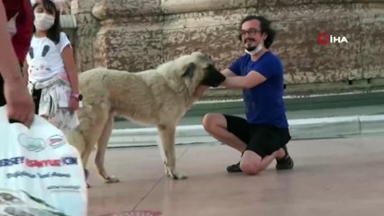 Önce sevdi, sonra kaçtı...