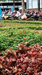 Hiến máu nhân đạo một nghĩa cử cao đẹp.