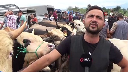 Korona virüs hayvan satıcılarını da etkiledi