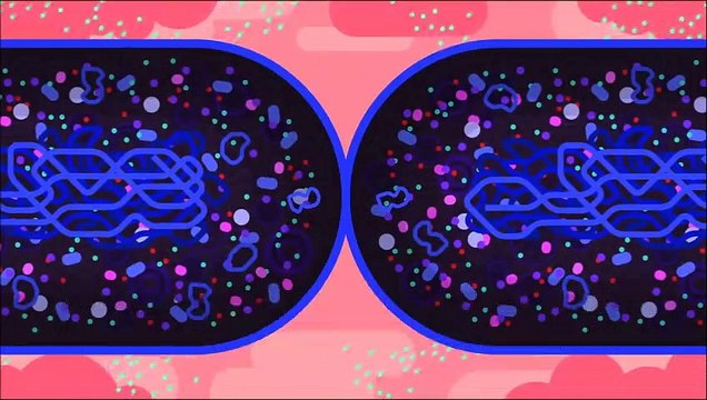 Bacterias resistentes a los antibióticos: la verdadera Tercera Guerra Mundial