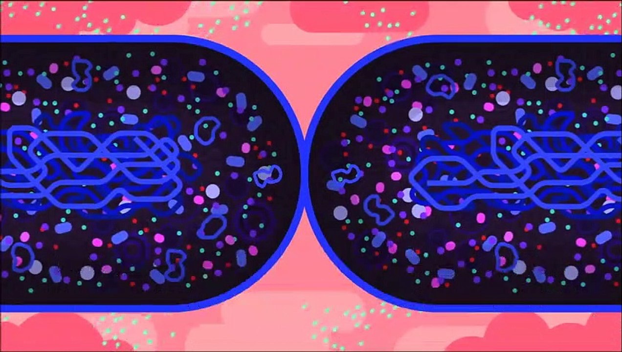 Bacterias resistentes a los antibióticos: la verdadera Tercera Guerra Mundial