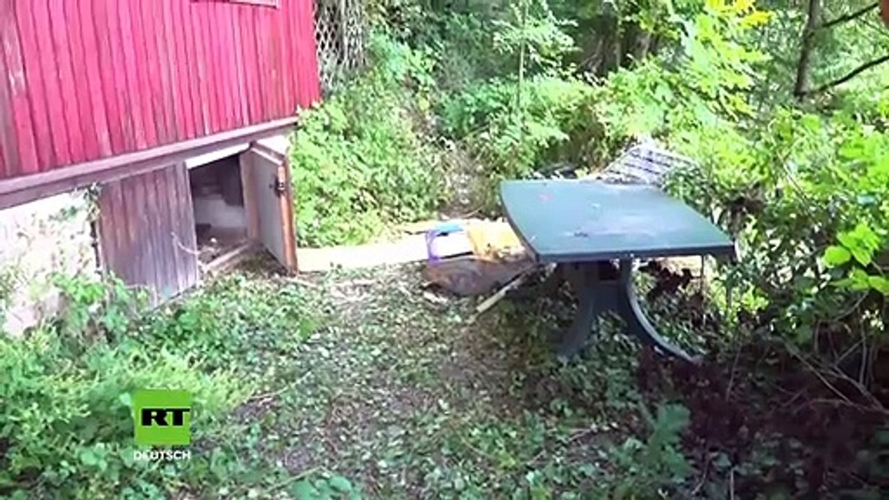 Allemagne: Depuis cinq jours, des centaines de policiers traquent un fugitif armé dans la Forêt Noire - VIDEO