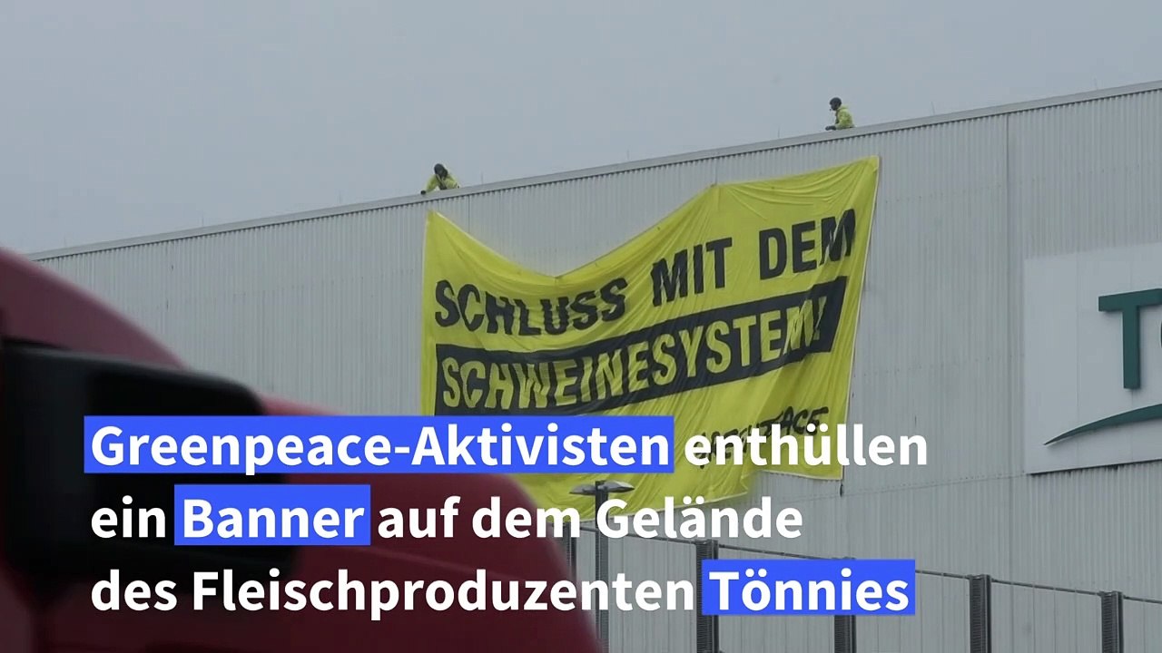 Greenpeace-Protest bei Tönnies gegen 'Schweinesystem'