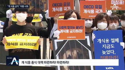 “개 식용 금지”…초복날 드라이브스루 집회