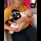 Cute Dog - Cute baby animals Videos Compilation cutest moment of the animals #1