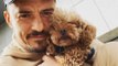 Orlando Bloom and Katy Perry's dog Mighty goes missing