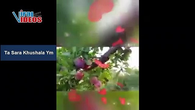 Noora Ehsas | Ta Sara Khushala Ym | Noora Ehsas New Best Poetry | Pashto new poetry