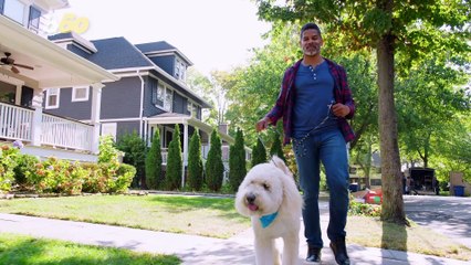 Prep Your Pets Now Before Heading Back to Work