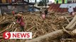 Flash floods kill at least 16, displace hundreds in Sulawesi
