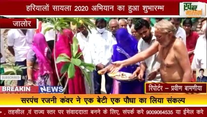 जालोर : हरियालों सायला 2020 अभियान का हुआ शुभारम्भ