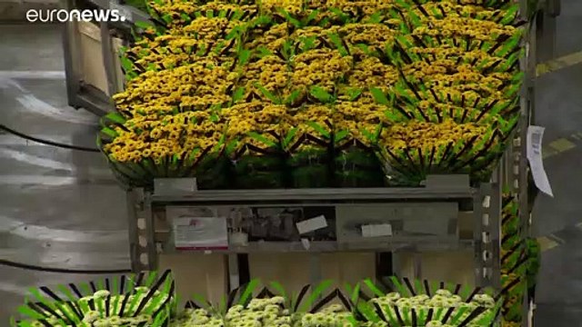 Going Dutch: Netherlands has 'frugal' approach to the EU coronavirus recovery package