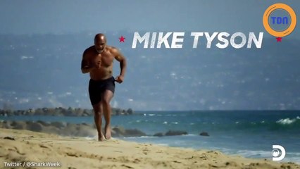 Mike Tyson va "se battre" contre un grand requin blanc pour... une expé­rience scien­ti­fique !