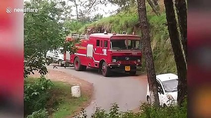 Paragliders rescued by authorities after getting stuck in tree in India