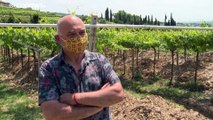 En Italie, sous les vignes, les mosaïques