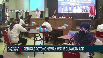 Jelang Idul Adha, Pemkab Jember Bagikan APD ke Petugas Potong Hewan