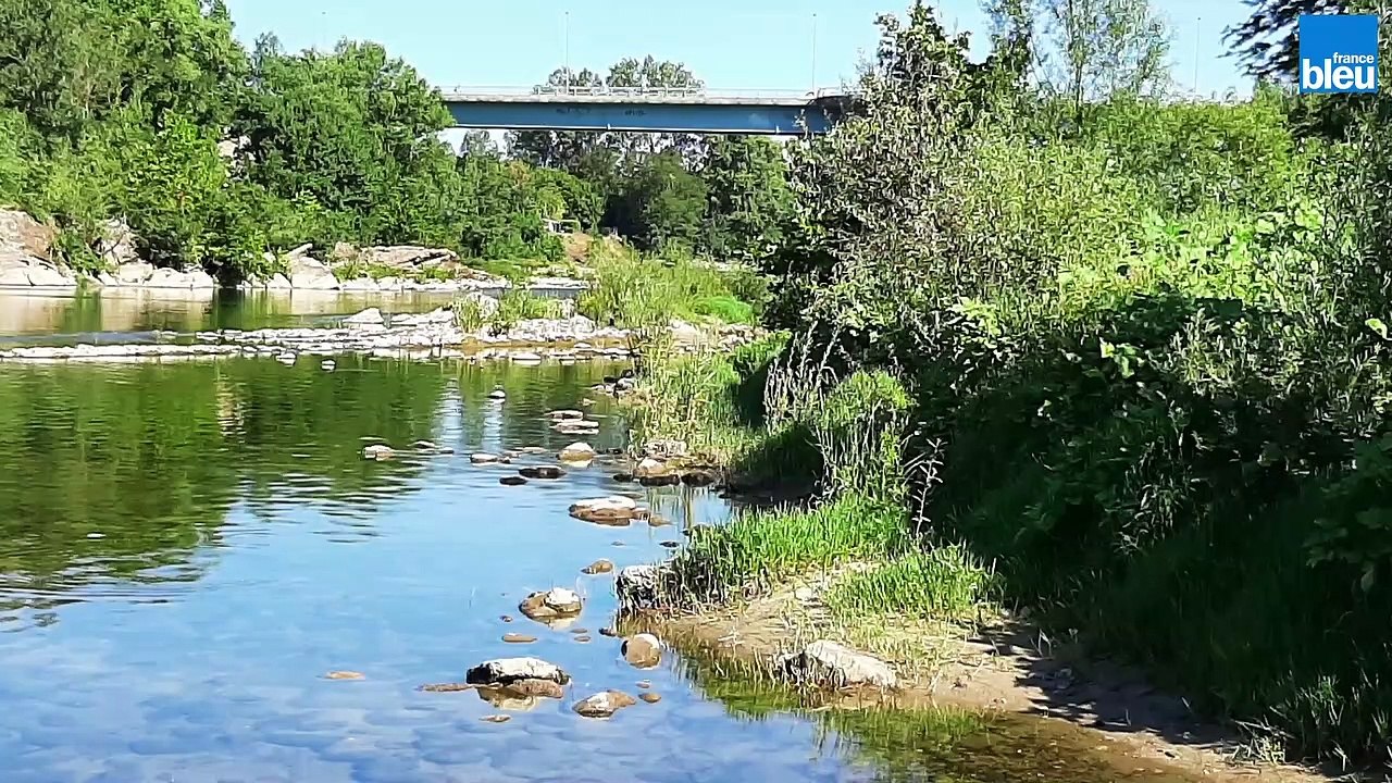 Grandeur nature : quand les animaux sauvages prennent possession des gorges de l'Ardèche pendant le confinement