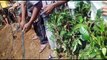 Forest officials rescue wild elephant from muddy pit in eastern India