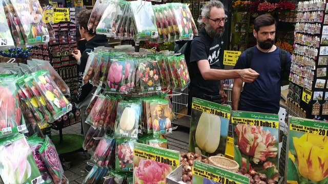 What to Look for When Buying Bulbs for Fall Flowers