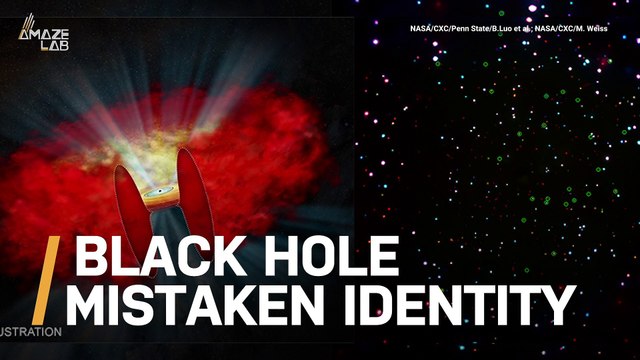 Scientists Discover Dozens of Black Holes Are Not What They Seem