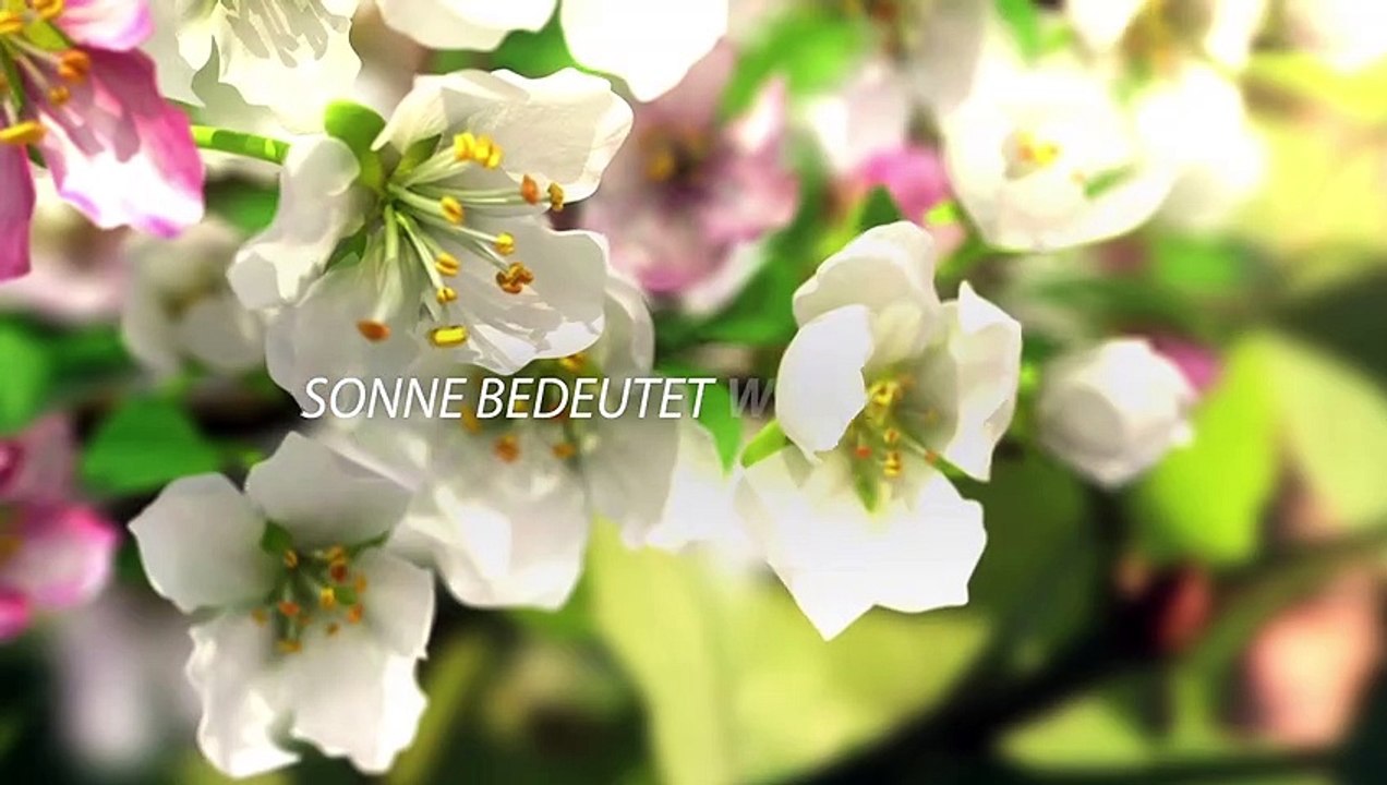 NUTRILITE Vitamin D