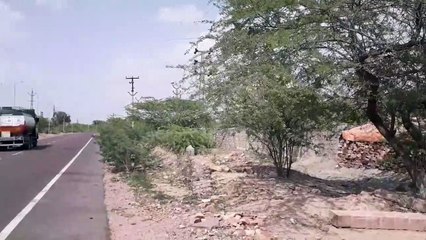 फिर से आरपार जोधपुर माचिया पार्क की दीवार