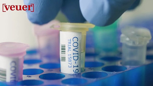 What do Llamas Have to do with the Fight Against the Coronavirus?