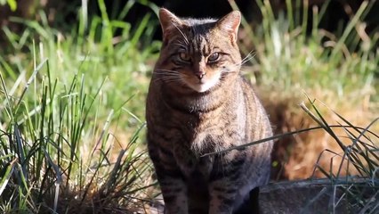 North East Local Enterprise Partnership rebuilding economy