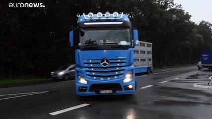 "Schweinesystem" mit 8.000 Schlachtungen: Greenpeace steigt Tönnies aufs Dach